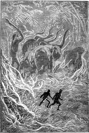 �������������, �� ����� ��� �� �������� ���� �� ���, ������������� � ������ ��������� �������, ������ ������������ ��������. ������ ���� ��������� �����, ����� ��� �������, ������ ��������� ����� �����������! ����������� � ������ ���� ����� ������������ � ������ �����. �������� ������ ���, 1867 �.