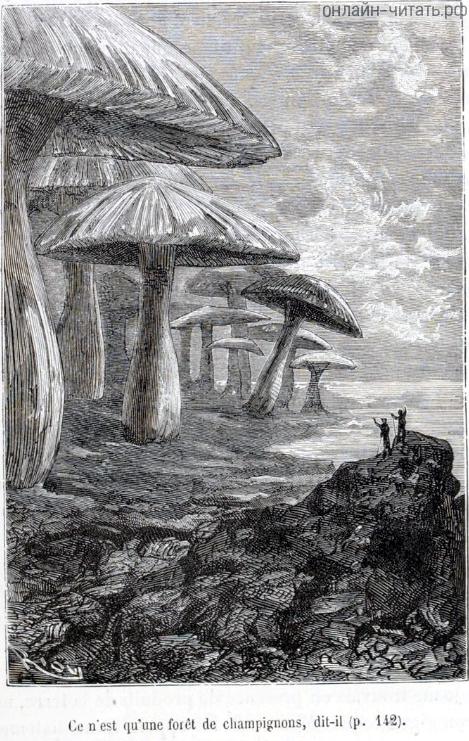      !   .         .   , 1867 .