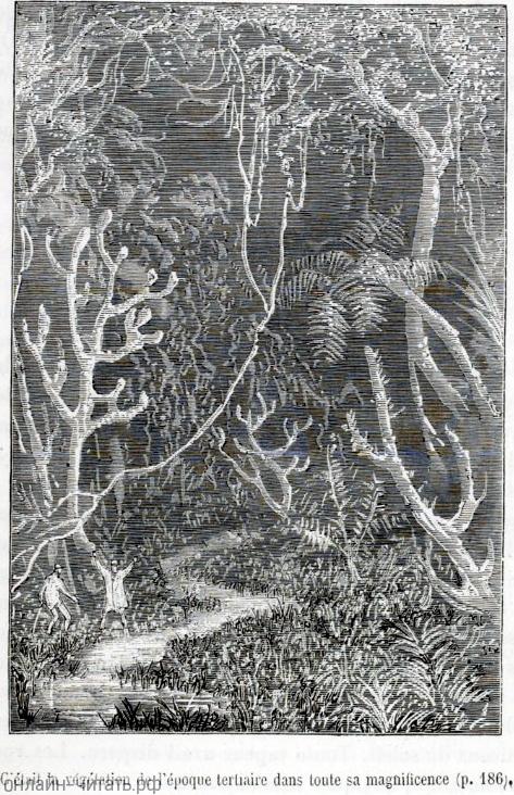 ��� ���� �������������� ���������� ������� �� ���� �� �����������. ����������� � ������ ���� ����� ������������ � ������ �����. �������� ������ ���, 1867 �.