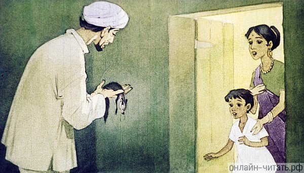    , ;     .  .  (1967)   --   (1893)
