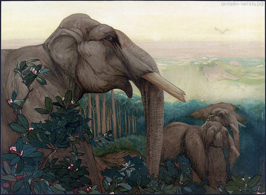  .     .   .        , 1902