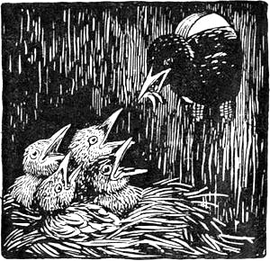      .    . .  .  . , 1924 .