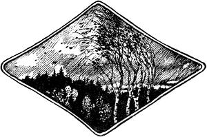    .    . .  .  . , 1924 .