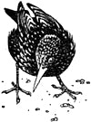 .    . .  .  . , 1924 .