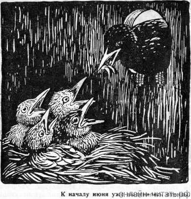     .    . .  .  . , 1924 .