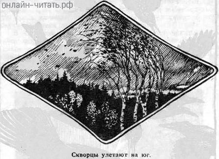    .    . .  .  . , 1924 .