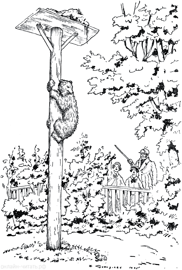 ������� ������� ���������� ������ ��� ��������� ���������� ���� � ������ ����� ��������... ����������� � ������� �. �. ������� �������. �������� ����� ���������� ���������, 1925 �.