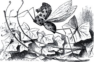  -.    (1872)        (1871)