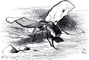  .    (1872)        (1871)