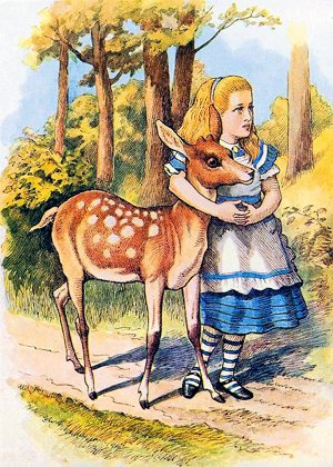       ,       .    (1872)        (1871)