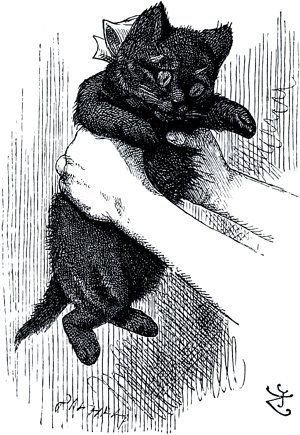 � ������������� � ��� � ����� ��� �������.. ����������� ����� �������� (1872) � ������ ������ �������� ������ � ���������� (1871)