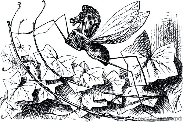  -.    (1872)        (1871)