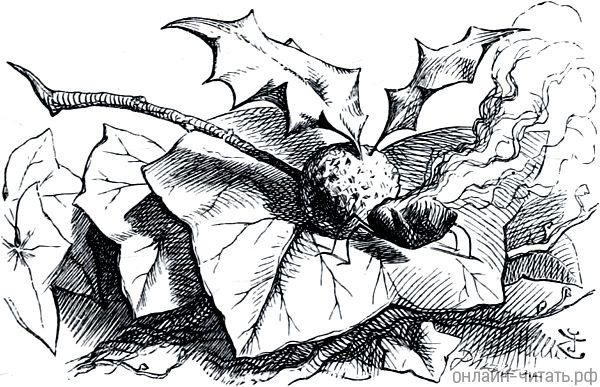  .    (1872)        (1871)