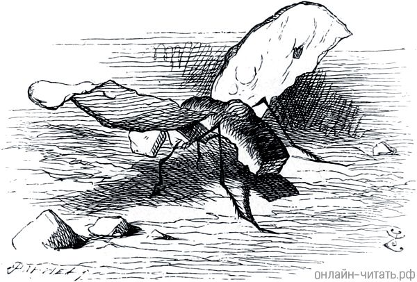  .    (1872)        (1871)