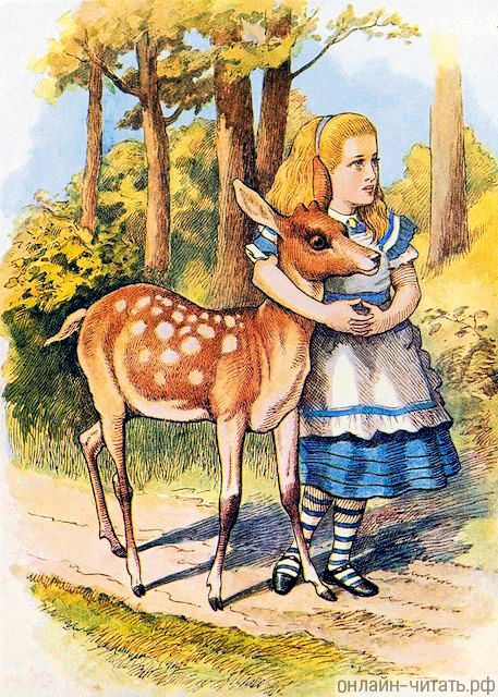        ,       .    (1872)        (1871)