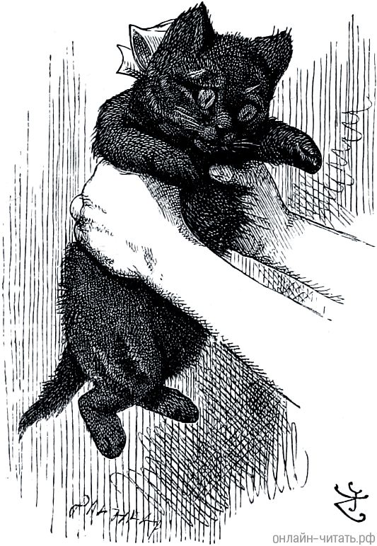 � ������������� � ��� � ����� ��� �������.. ����������� ����� �������� (1872) � ������ ������ �������� ������ � ���������� (1871)