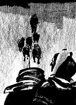      --. . , 1976 .