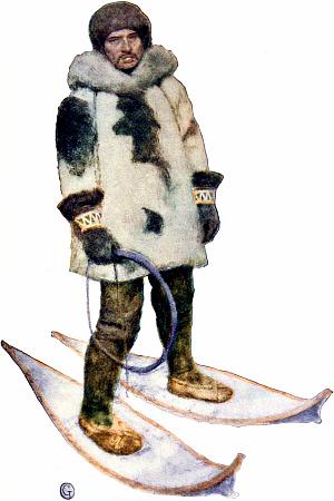   ,        .       .   .     , 1903 .