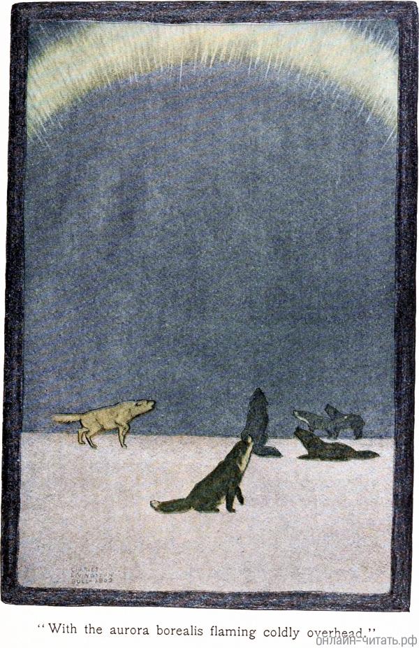   ,    ,   ,     ,   ,     ,      ,   ...       .   .     , 1903 .