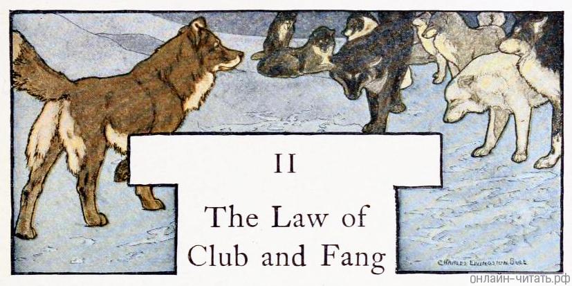 II.    .       .   .     , 1903 .