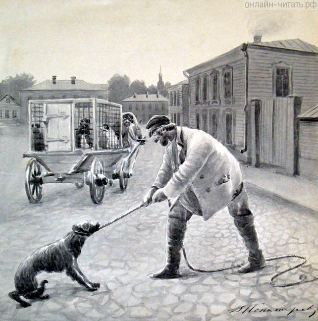 ����� ��������� �������, � �������� �������� � ������� �� ���. ����������� � �������� �. �. ������-�������� ���������. �������� �. ���������, ������ XX ����