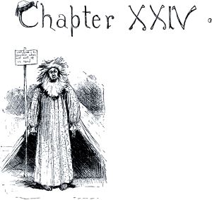 Приключения Гекльберри Финна. Глава XXIV. Бешеный араб. — Когда в себе, на людей не бросается.