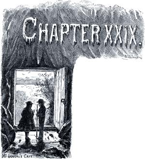   .  XXIX.  -.