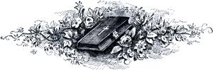  ().  1876 .  1-       