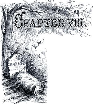   .  VIII.   .