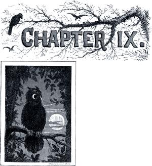   .  IX. .