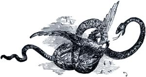  11- .  1876 .  1-       