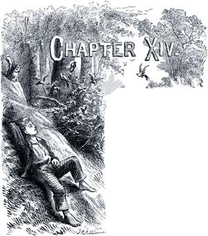   .  XIV.  .