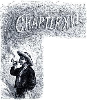   .  XVI. .