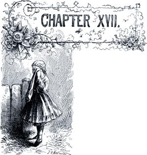   .  XVII. .