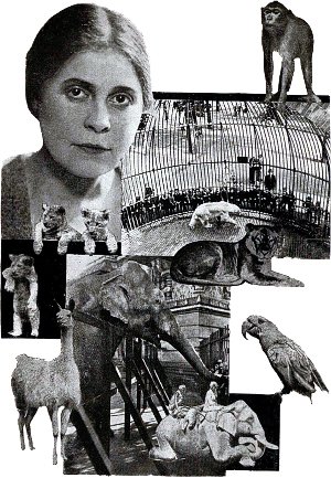           .    .   . -  , 1923