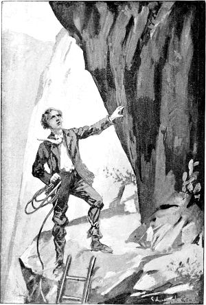 ����������. ���������� �������� � ����� ����� ���� ����������. ����������� � ������ ����� ���� ��������� �� ����������. ������� ������ XX �.