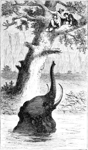 ����������� � ������ ����� ���� ��������� �� ����������. ������� 1865 �.