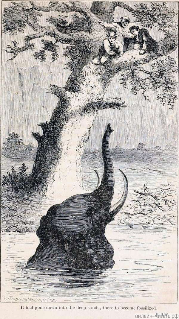 ����������� � ������ ����� ���� ��������� �� ����������. ������� 1865 �.