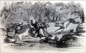     :      ,    .      ,     .         .        , 1866