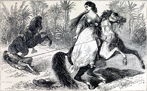  ,   ,   ,  ,     !    !        !  !    ,    ,      .    ,          , 1866
