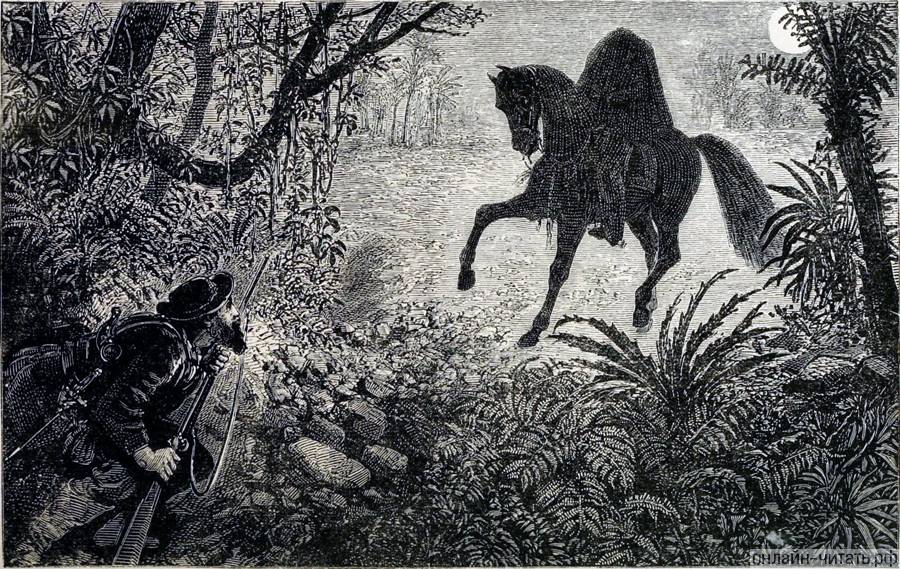 , !    !       ?        , 1866