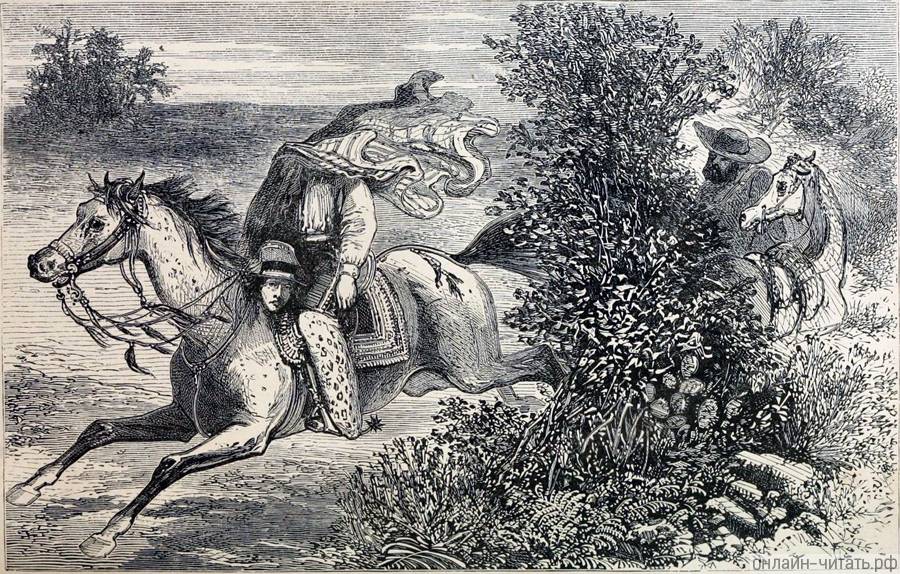     ,   ,    ,         .        , 1866
