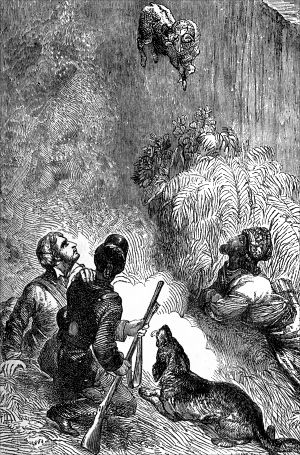 ����������. ������ �����. ����������� � ������ ����� ���� ��������� �� ����������. ������� 1866 �.