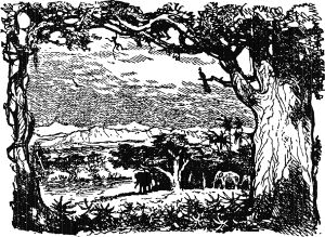 �������� � ������ ����� ���� ��������� �� ����������. ������� 1957 �.