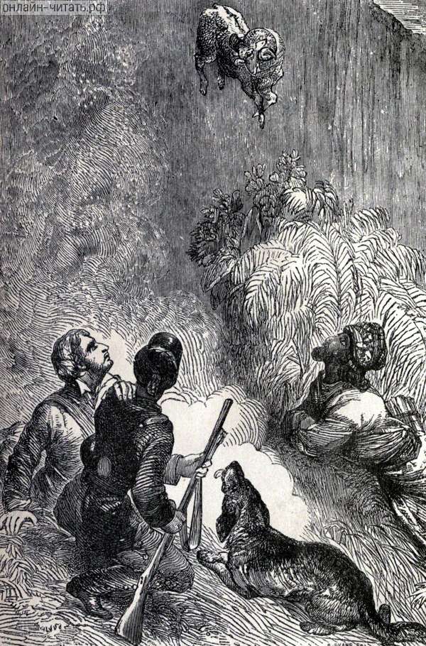 ����������. ������ �����. ����������� � ������ ����� ���� ��������� �� ����������. ������� 1866 �.