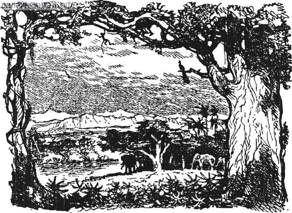 �������� � ������ ����� ���� ��������� �� ����������. ������� 1957 �.