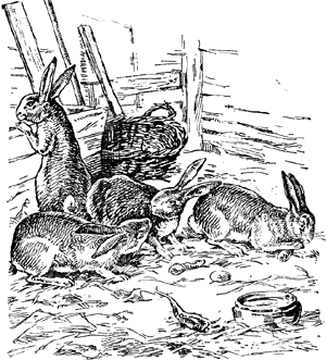 Две пары зайцев. Иллюстрация Бирюкова к стихотворению Некрасова «Дедушка Мазай и зайцы»