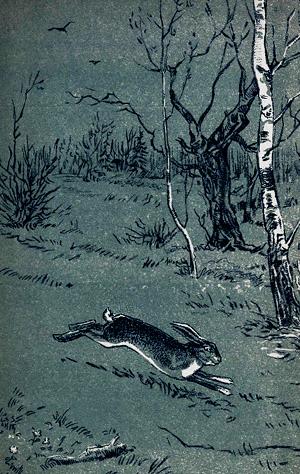 Заяц уходит. Иллюстрация Бирюкова к стихотворению Некрасова «Дедушка Мазай и зайцы»