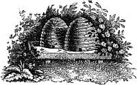    . .  .   . , 1880 .