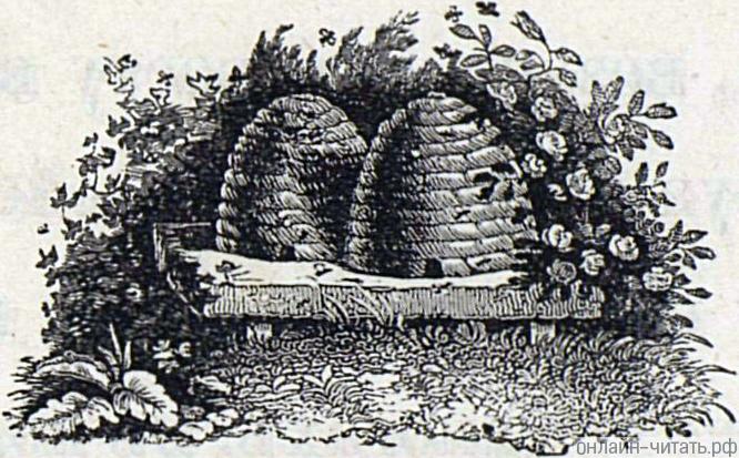    . .  .   . , 1880 .